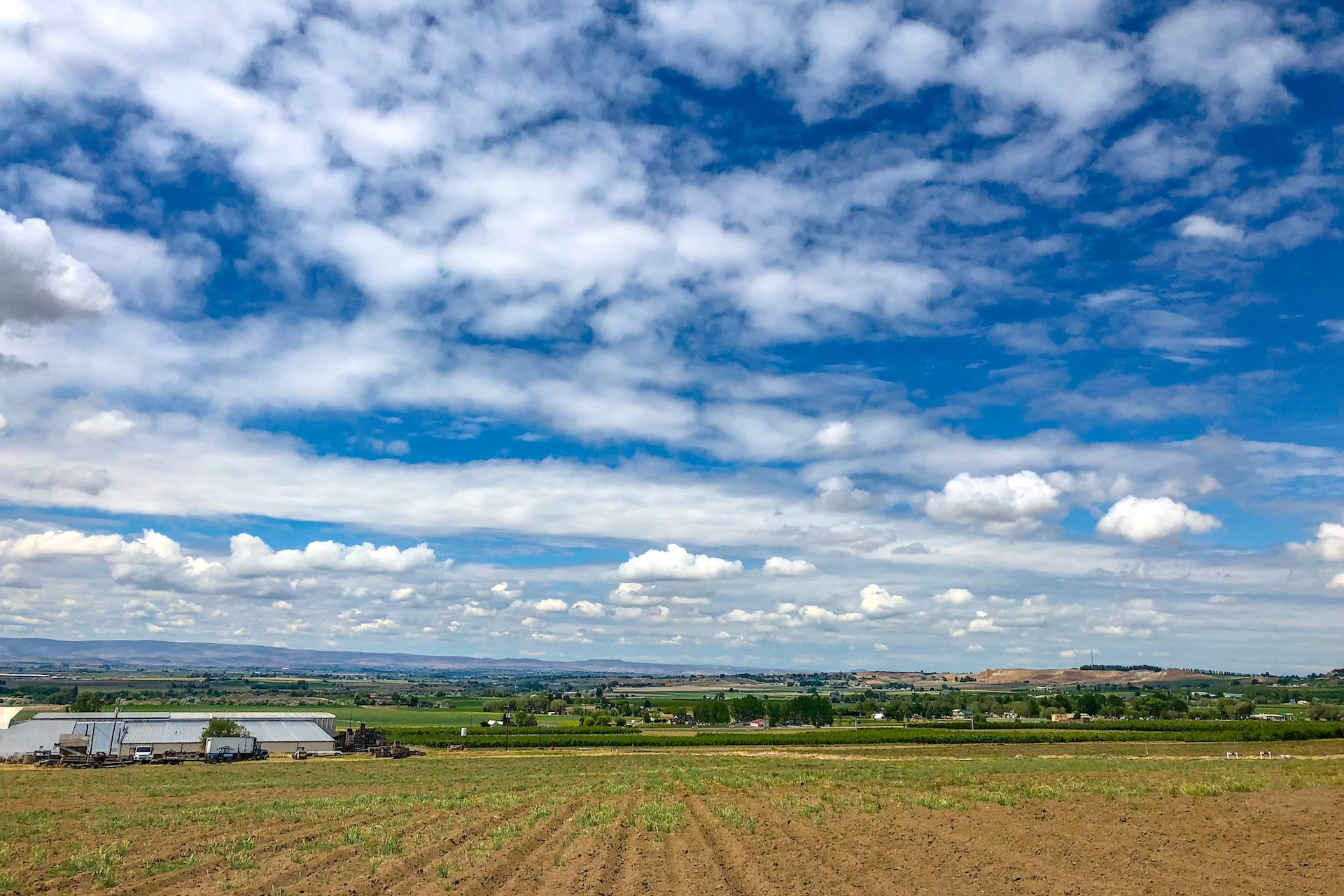 picture of farmland near Boise, Idaho