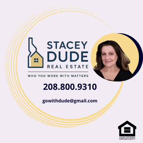 logo for Stacey Dude